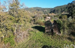 Coimbra, Coimbra District