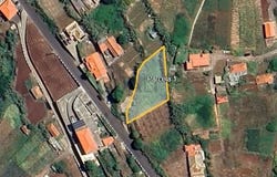 Canhas, Madeira 9360