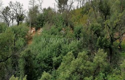 Alferce, Algarve 8550