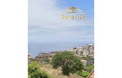Ilha da Madeira, Madeira