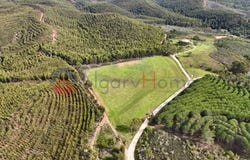 Aljezur, Algarve 8670