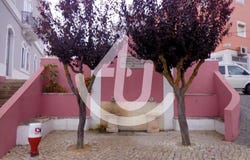 São Martinho Do Porto, Leiria 2460