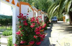 Cabeça Gorda, Beja 7800
