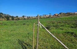 Salir De Matos, Leiria 2500