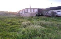Oiã, Aveiro District