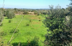 Casalinho, Santarém District