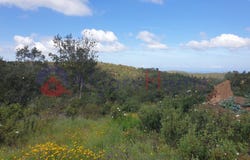 São Teotónio, Beja 7630