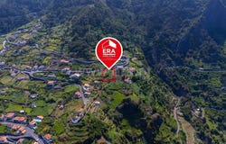 Faial, Madeira 9230