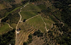 Santa Leocádia, Viseu 5120