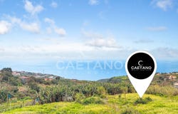 Estreito Da Calheta, Madeira 9370