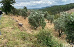 Castelo Branco, Castelo Branco District