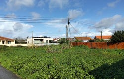 Vagos, Aveiro District