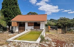 Leiria, Leiria District