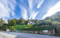 Montalegre, Vila Real District