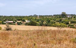 Silves, Algarve
