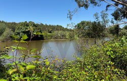 Figueira Dos Cavaleiros, Beja 7900