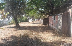 Castelo Branco, Castelo Branco District
