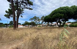 Colares, Lisbon 2705