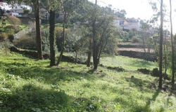 Braga, Braga