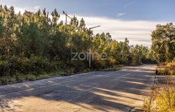 Pombal, Leiria District