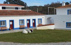 Borba (São Bartolomeu), Évora 7150
