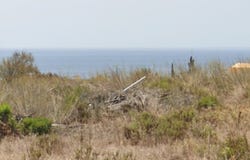 Faro, Algarve 8600-000