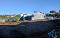 Tomar, Santarém District 2305