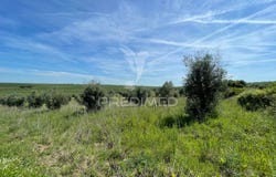 Avis, Avis, Portalegre District 7480