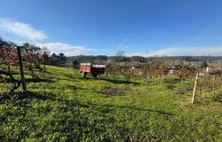 Coimbra, Coimbra District 3000-000