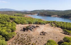 Faro, Algarve 8600-069