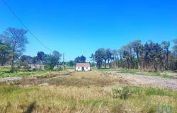 Torreira, Aveiro Municipality 3870