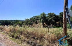 Tomar, Santarém District 2305