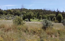 Monchique, Algarve