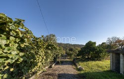 Amares, Braga