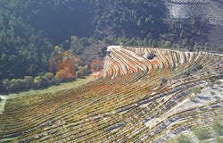 Cedovim, Guarda District