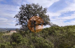Odeleite, Algarve