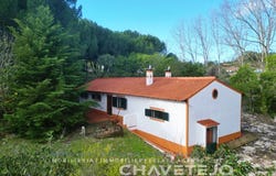São Pedro De Tomar, Santarém 2300