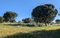MC6C+Q3, Évora, Évora District 7080