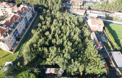 Canelas, Porto 4410