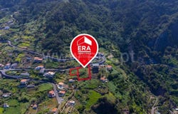 Faial, Madeira 9230