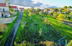 Tomar, Santarém District 2305-237