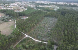 Chousos, Maceira, Leiria District 2405-029