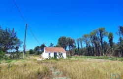 Torreira, Aveiro Municipality 3870