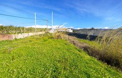 Canhas, Madeira 9360