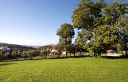 Mealhada, Aveiro District