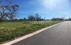 Pombal, Leiria District