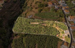 Canhas, Madeira 9360
