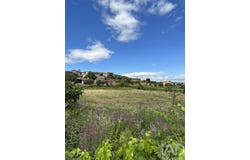 Vila Real, Vila Real District