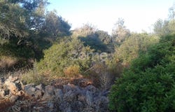 Silves, Algarve