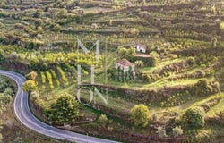 ANREADE, Viseu District